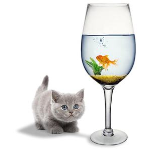 <span class=keywords><strong>Copa</strong></span> <span class=keywords><strong>de</strong></span> <span class=keywords><strong>Vino</strong></span> <span class=keywords><strong>Gigante</strong></span> <span class=keywords><strong>de</strong></span> 20 Pulgadas, Novedosa, Transparente, Decorativa, Soplada a Mano, Tipo Bordeaux, con Base para Corcho y Cubitera - Product Image 3