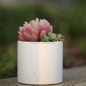 Vaso di porcellana ceramica di <span class=keywords><strong>Design</strong></span> moderno elegante e contemporaneo per arredamento d'interni moderno vaso <span class=keywords><strong>in</strong></span> <span class=keywords><strong>cemento</strong></span> - Product Image 3