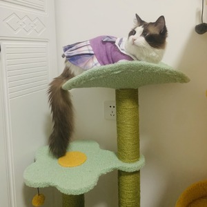 Pet <b>Cats</b> Jk Princess Dress Plaid Acrylic Fiber Cute Skirt Spring Autumn Small Pet <b>Clothes</b> - Product Image 3