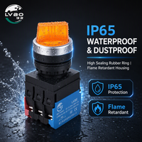 Interruttore a Pulsante in Plastica LVBO 10A 240V 1NO1NC IP67 Modello di Controllo Elettronico LB38E
