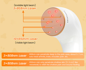 <span class=keywords><strong>Laser</strong></span> Dingin Hewan Peliharaan 650nm+808nm - Pengurangan Peradangan/Penyembuhan Luka, Kelas Dokter Hewan, Dapat Digunakan Kembali, Dua Fungsi - Product Image 4