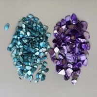 Coquillage Fragment Gravier Nail Art Terrazzo Jardin Décoration Accessoires Perle Artisanat Broyé Coloré Abalone Shell Feuille Puces