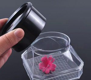 Boîte d'observation des insectes pour enfants, dispositif de rangement, loupe à main pour petits animaux - École primaire, sciences biologiques - Product Image 1