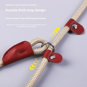 Set Guinzaglio e Collare per Addestramento Cani 2-in-1 con Logo Personalizzato, Corda Robusta e Resistente, Guinzaglio Classico per Passeggiata - Product Image 3