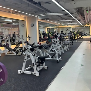 <strong>2026</strong> GLSFitness Commercial Gym Equipment Plate Loaded Machine Iso Lateral Rowing Gym Machine Professional Seated Row Machine - Product Image 5