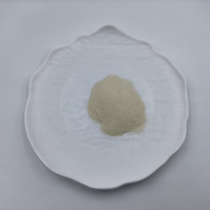 Bromelina en Polvo de Fábrica 2400 GDU/g CAS 9001-00-7, Suplemento de Enzima Digestiva, Materia Prima, Bromelina en Polvo de Grado Alimenticio - Product Image 3