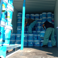 Le détergent en poudre en poudre 30g emballage personnalisé échantillon gratuit fabricant en Chine