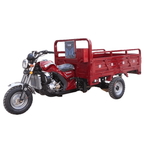 <span class=keywords><strong>Triciclo</strong></span> <span class=keywords><strong>de</strong></span> <span class=keywords><strong>Carga</strong></span> <span class=keywords><strong>de</strong></span> Gasolina <span class=keywords><strong>Económico</strong></span> <span class=keywords><strong>de</strong></span> 300cc <span class=keywords><strong>de</strong></span> Alta Calidad para el Transporte <span class=keywords><strong>de</strong></span> Mercancías en Zonas Urbanas y Rurales - Product Image 3