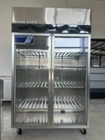Réfrigérateur vitrine vertical à double porte en verre pour boissons, idéal pour les cafés et les magasins