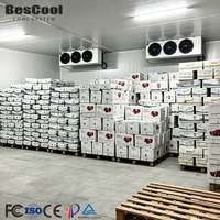 -30 ℃   Entrepôt frigorifique modulaire télécommandé 20 pieds/40 pieds avec panneau insonorisé – Solution clé en main pour grands projets d'ingénierie