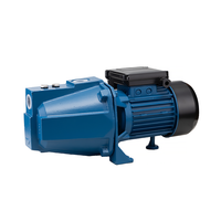 Pompes électriques de surface Bombas De Agua 1Hp 1 Hp Pompe à jet d'eau auto-amorçante pour l'irrigation de jardin