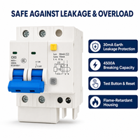 Interruptor Diferencial RCBO Wanbo-320 63 2P C63 30mA, Protección Contra Fugas, Sobrecarga y Cortocircuito