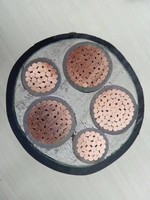 YJV22 0,6/1kV Mehradriges Kupferkabel für Industrie, Bergbau und Heizung, Niederspannungs-XLPE-Isolierung, Raucharmes Überkopf-Gebäudekabel