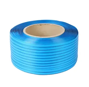 Hot Sale Recyclable PP Strapping Band