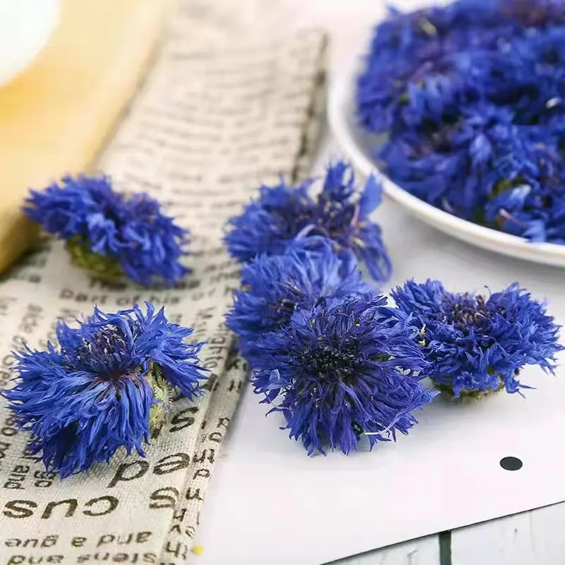도매 건강 꽃 차 제품 말린 블루 수레 국화