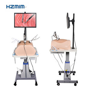 Simulador de Treinamento Laparoscópico Abdominal com Mesa de Levantamento Automático para Escola de Medicina - Product Image 2