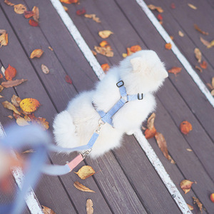 Suministros para mascotas Cinturón de tracción para perros pequeños Conjunto de Correa y collar con cuerda Arnés para caminar al aire libre para mascotas Chaleco para cachorros - Product Image 4