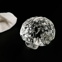 Ornement à la fois complexe et éducatif, le modèle de cerveau en cristal 3D est parfait pour les neuroscientifiques et les passionnés.