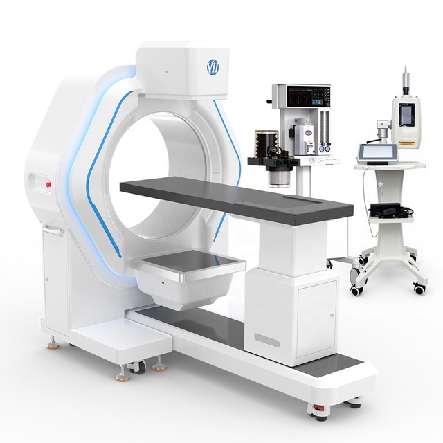 Veterinary CT Scanners for Dog cat and Other Exotic Pets Delivering High-definition Imaging of Minute Lesions and Structures