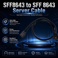 Cable de Servidor de Transmisión de Alta Velocidad SFF-8643 a SFF-8643 Mini SAS HD, Ancho de Banda Total de 48 Gbps, Tarjeta RAID, Matriz de Discos Duros