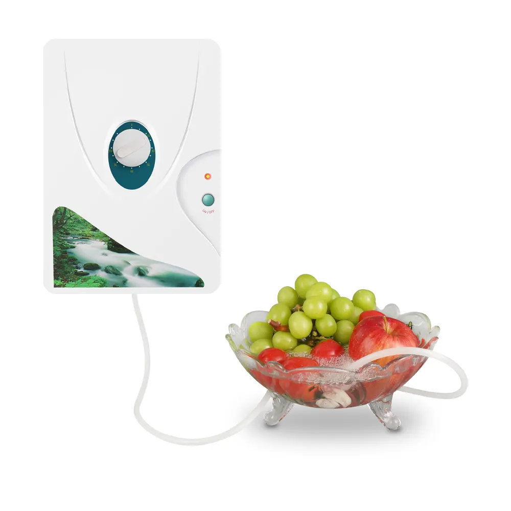 Portable Household Purify Air and Water with Timer for Water Fruits Vegetables Purification With Ozone Light