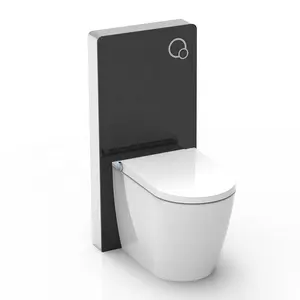 CE Certificated Fashion Toilet Seat P Trap Wall Mounted Smart Toilet Bathroom Shower Toilet