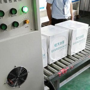 Macchina Automatica per Imballaggio con Tunnel Termoretraibile, Attrezzatura per Sigillatura Film Termoretraibile per Bevande, Acqua, Lattine, Vassoi, Cartoni - Product Image 2