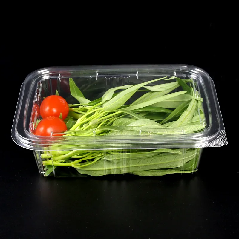 حار بيع سعر المصنع يتوقف الحيوانات الأليفة البلاستيك قابلة للطي الفواكه صندوق شفاف للخضروات الطازجة و إناء سلطة مع غطاء