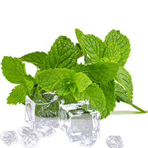 Cấp thực phẩm bạc hà hương vị bột để sử dụng như chất ổn định chất làm đặc hương vị chất tăng cường - Product Image 4