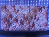 Dalle de marbre onyx translucide couleur miel avec fleurs rouges, prix compétitif, carreaux de pierre onyx jaune 12x12 pour murs et sols de salle de bain