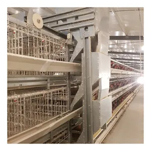 30000 layers salable poultry equipment better automation Hot-dip galvanized wire A Type Egg Chicken manual Layer Cage for sale