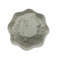 Terre de Blanchiment Activée Qualité Alimentaire, Poudre d'Argile Bentonite pour la Clarification du Vin/Jus