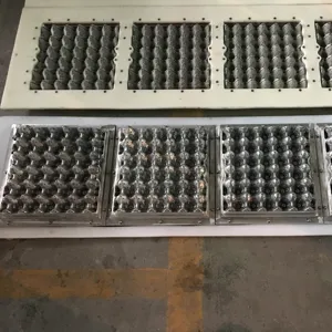 Moldes de aluminio personalizados para bandeja de huevos, bandeja de plástico para máquina