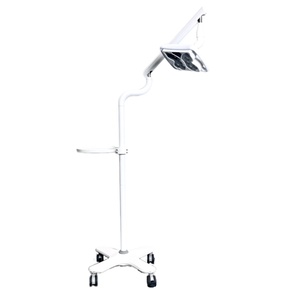 Lampada sbiancante per denti a forma di farfalla salone di bellezza studio odontoiatrico uso 3 modello dentale macchina per sbiancare denti