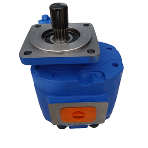 Bombas de Engranajes Serie Hansen, Serie de Bombas Individuales, Alta Calidad, Funcionamiento Estable, Personalización Disponible, 1 Año de Garantía, Construcción - Product Image 2