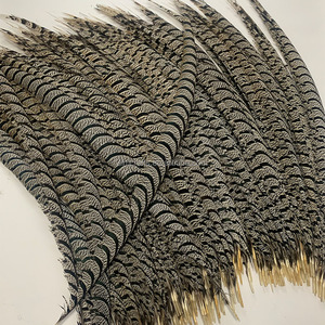 Plumas <span class=keywords><strong>de</strong></span> <span class=keywords><strong>Cola</strong></span> <span class=keywords><strong>de</strong></span> Faisán Zebra Blancas Naturales <span class=keywords><strong>de</strong></span> 90-100 cm, 36-40 Pulgadas, al por Mayor, para Decoración <span class=keywords><strong>de</strong></span> Disfraces <span class=keywords><strong>de</strong></span> Carnaval y Samba - Product Image 3