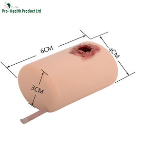 نموذج تشريحي لطلقات نارية لتغليف الجروح المدرب عاصبة نموذج التدريب على التحكم في النزيف للعلوم الطبية وسادة خياطة - Product Image 5