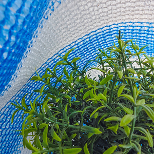 شركة مصنعة للتكنولوجيا المتطورة HDPE ، شراع ظل الشمس للحدائق - Product Image 5