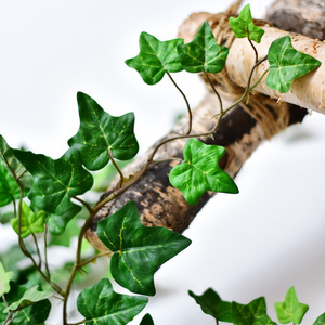 H1 Feuilles ignifuges Plantes vertes ignifuges Faux Fleur Vigne Creeper <span class=keywords><strong>Lierre</strong></span> Feuilles Twining Fleur Vigne Rotin Artificiel - Product Image 4