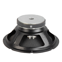 15 İnç 500W 8 Ohm 95dB Profesyonel Ses Sistemi Subwoofer Hoparlör Sürücüsü, PA Sistemi OEM Fabrika Özel Üretimi