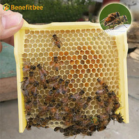 Boîte d'accouplement pour l'apiculture nuc Box Polystyrène Bee Hive