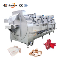 Spiraltransportband Mango Industriële Blancheringsmachine Fruit- en Groenteblisheringsmachine Met Dubbellaagse Isolatie