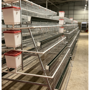 Cage à poules pondeuses de type A à 4/5 niveaux pour élevage avicole, avec système d'alimentation et d'abreuvement - Product Image 1