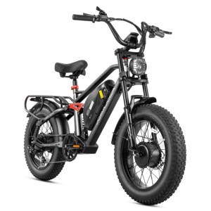 Bicicleta Eléctrica Eahora Terra 2 de 48V 1000W con Motor Dual, Neumáticos Anchos, Batería de Largo Alcance de 48V 20Ah, Cuadro de Acero, Mejor Precio - Product Image 1