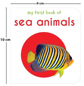 Kustom profesional sampul keras anak-anak set buku kardus bayi papan cetak buku