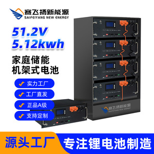 LiFePO4 Rack Mounted <b>Energy</b> <b>Storage</b> <b>System</b> 51.2V 100Ah With BMS Home Use - Product Image 5