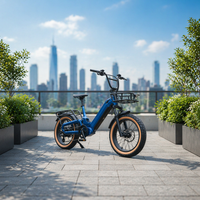 Vélo électrique de ville Ebike avec moteur 750W, vélo électrique tout-terrain, vélo électrique à pneus larges
