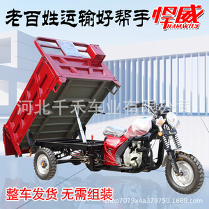 Tricycle agricole à trois <span class=keywords><strong>roues</strong></span> à benne basculante, véhicule utilitaire à carrosserie ouverte, pouvant être homologué pour usage domestique - Product Image 4