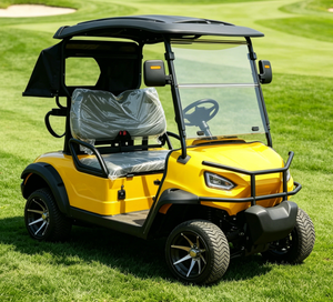 Voiturette de golf basique 6 places pour les excursions quotidiennes - Product Image 5