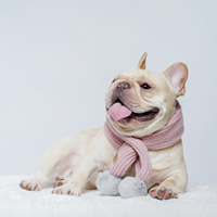 UFBemo Offre Spéciale rose lapin moelleux boule écharpe mignon mode hiver chien tricoté animal chaud écharpe